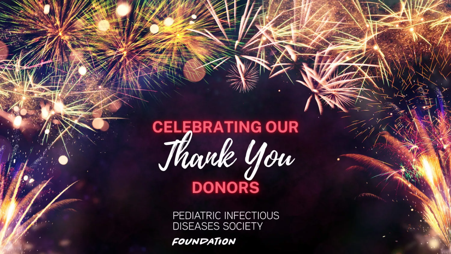 Thank You Donors Fireworks